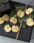 Apple Slice Garland