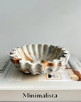 Kyma Concrete Scallop Bowl