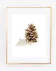 Pinecone Art Print