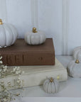 Concrete Pumpkins /  White