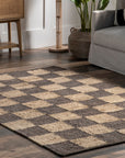 Christana Traditional Checkered Jute Area Rug