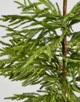 Artificial Norfolk Pine Tree - 36"