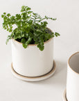 4" Minimal Planter | Stoneware