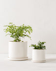 6" Minimal Planter | Stoneware