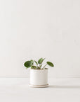 4" Minimal Planter | Stoneware