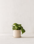 4" Minimal Planter | Raw Stoneware