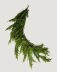 Real Touch Norfolk Pine Dripping Garland - 40"