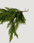 Real Touch Norfolk Pine Dripping Garland - 40"