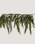 Real Touch Norfolk Pine Dripping Garland - 40"