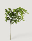 Real Touch Norfolk Pine Branch - 36"