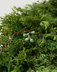 Artificial Winter Cedar and Juniper Wreath - 30"