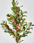 Faux Holly Branch - 36"