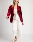 Velvet Long Sleeve One Button Blazer