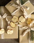 Apple Slice Garland