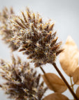 Faux Dried Brown Thistle Spray