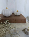 Concrete Pumpkins /  White