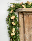 Apple Slice Garland