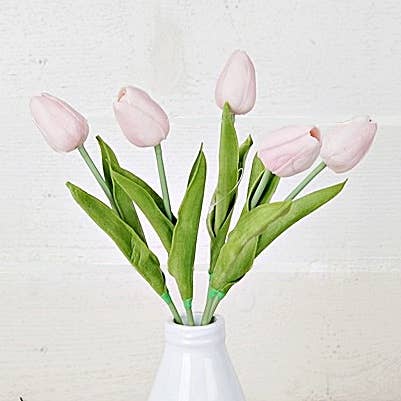 Real ouch Tulip Stem
