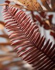 Fall Fern Stem