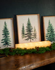 Soft Touch Pine Garland