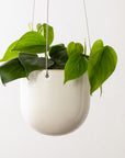 Arched Hanging Planter No. 1 | Stoneware