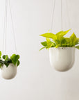 Arched Hanging Planter No. 1 | Stoneware