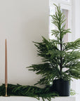 Artificial Norfolk Pine Tree - 36"