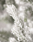 Snowy Pine Trees