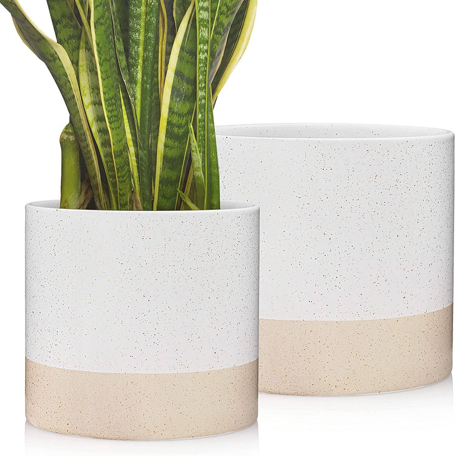 Modern Ceramic Planter Pots
