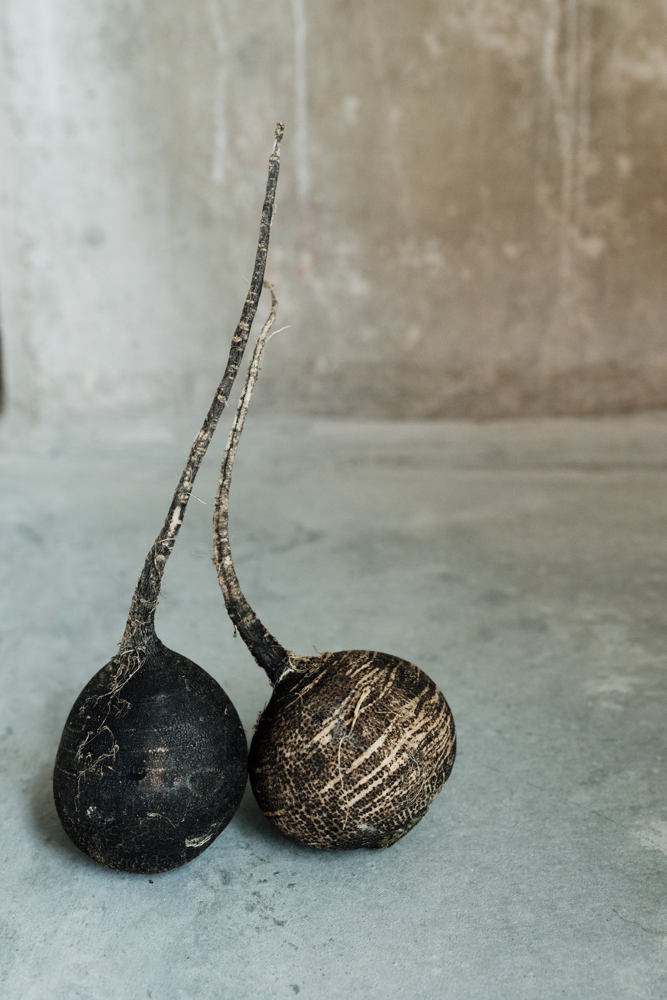 Deux Betteraves Noires Art Print