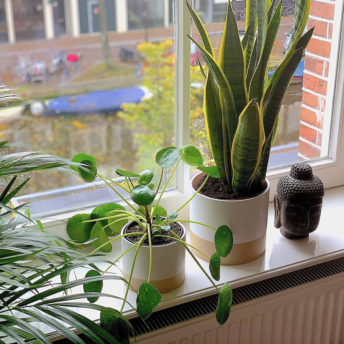 Modern Ceramic Planter Pots