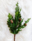 Cypress + Pine Cone Spray