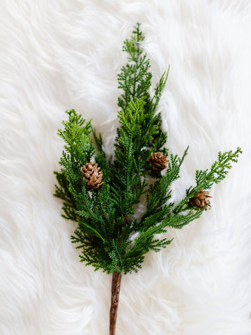 Cypress + Pine Cone Spray