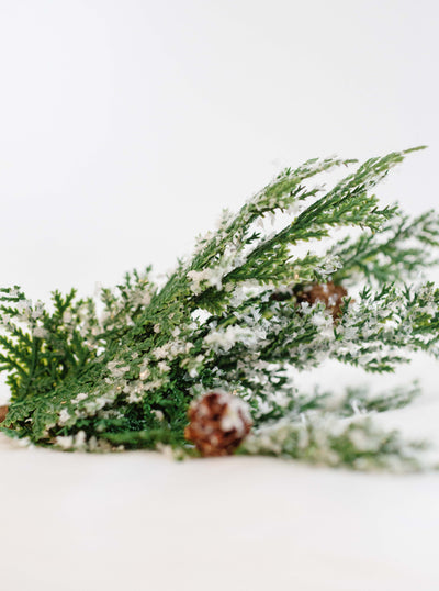 Snowy Cypress Stem - Cloth + Cabin