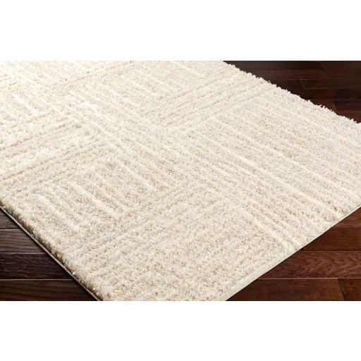 Everton Square Shag Rug