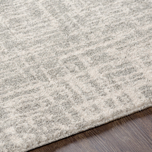 GAVIL Neutral Crosshatch Rug