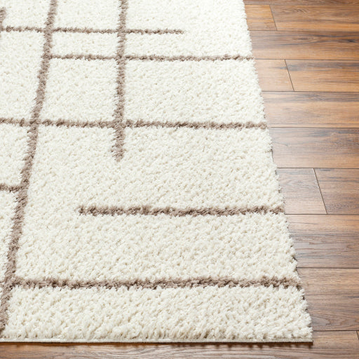 MARYLAND Shag Area Rug