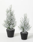 Flocked Tabletop Pine Trees